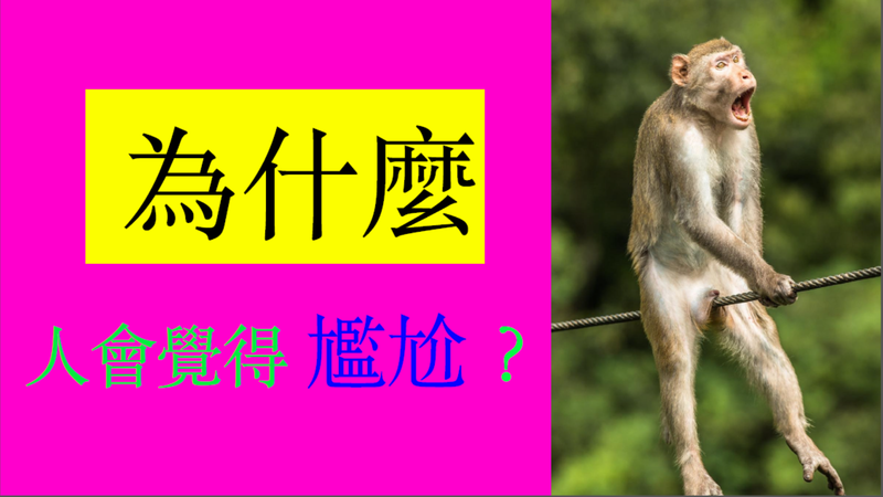 檔案:尷尬組 ppt0.png