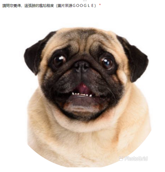 檔案:尷尬組 問卷圖例2.png